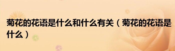 菊花的花語是什么和什么有關(guān)（菊花的花語是什么）