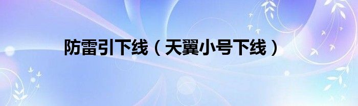 防雷引下線（天翼小號下線）