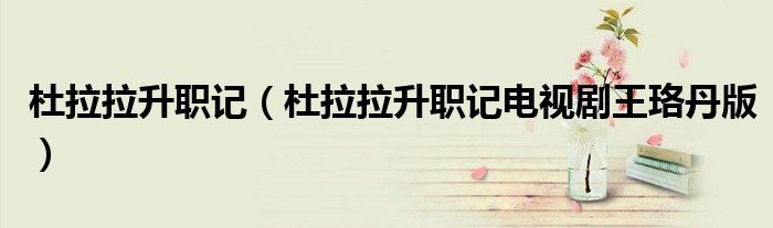 杜拉拉升職記（杜拉拉升職記電視劇王珞丹版）