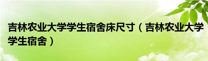 吉林農(nóng)業(yè)大學(xué)學(xué)生宿舍床尺寸（吉林農(nóng)業(yè)大學(xué)學(xué)生宿舍）
