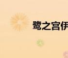 鷺之宮伊澄cos（鷺之宮伊澄）
