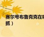 賽爾號(hào)布魯克克在哪得（賽爾號(hào) 現(xiàn)在布魯克克在哪抓 怎么抓）