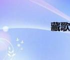 藏歌詞視頻（藏歌詞）