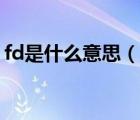 fd是什么意思（說一說fd是什么意思的簡介）