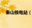 秦山核電站（說一說秦山核電站的簡介）