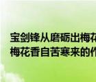 寶劍鋒從磨礪出梅花香自苦寒來的作者是（寶劍鋒從磨礪出梅花香自苦寒來的作者）