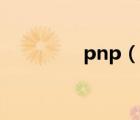 pnp（說一說pnp的簡介）