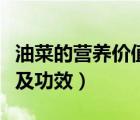 油菜的營養(yǎng)價值及功效禁忌（油菜的營養(yǎng)價值及功效）
