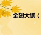 金翅大鵬（說一說金翅大鵬的簡(jiǎn)介）