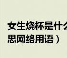 女生燒杯是什么意思網(wǎng)絡(luò)用語（燒杯是什么意思網(wǎng)絡(luò)用語）