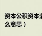 資本公積資本溢價是什么意思（資本溢價是什么意思）