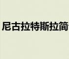 尼古拉特斯拉簡介30字（尼古拉特斯拉簡介）