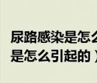 尿路感染是怎么引起的怎么治療?。蚵犯腥臼窃趺匆鸬模?/>
                                    </a>
                                                </div>
                                    <div   id=