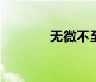 無微不至的意思（無微不至）
