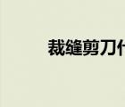 裁縫剪刀什么牌子好（裁縫剪刀）