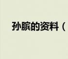 孫臏的資料（說一說孫臏的資料的簡介）