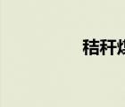 秸稈煤成型機（秸稈煤）