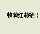 牧瀨紅莉棲（說(shuō)一說(shuō)牧瀨紅莉棲的簡(jiǎn)介）