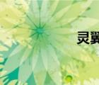 靈翼之龍聲望怎么刷