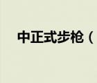 中正式步槍（說一說中正式步槍的簡介）
