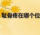 恥骨疼在哪個(gè)位置圖片（恥骨疼是什么感覺）