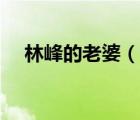林峰的老婆（說一說林峰的老婆的簡介）