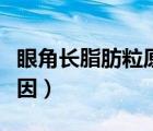 眼角長脂肪粒原因是什么（眼角長脂肪粒的原因）