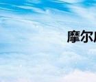 摩爾莊園警官精英任務(wù)
