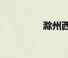 滁州西澗古詩(shī)原文及翻譯