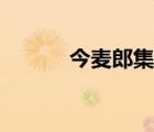 今麥郎集團(tuán)簡介（今麥郎集團(tuán)）
