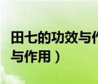 田七的功效與作用腰椎間盤突出（田七的功效與作用）