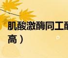 肌酸激酶同工酶偏高一點(diǎn)（肌酸激酶同工酶偏高）