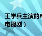 王學(xué)兵主演的電視劇桃花燦爛（王學(xué)兵主演的電視?。?/>
                                    </a>
                                                </div>
                                    <div   id=