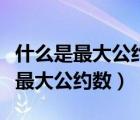 什么是最大公約數(shù)什么是最小公約數(shù)（什么是最大公約數(shù)）