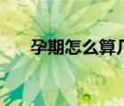 孕期怎么算幾周幾個(gè)月（孕期怎么算）