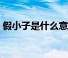假小子是什么意思（假小子公主闖櫻圣小說）
