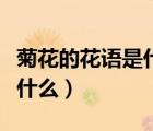 菊花的花語是什么和什么有關(guān)（菊花的花語是什么）