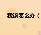 我該怎么辦（說(shuō)一說(shuō)我該怎么辦的簡(jiǎn)介）