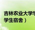 吉林農(nóng)業(yè)大學(xué)學(xué)生宿舍床尺寸（吉林農(nóng)業(yè)大學(xué)學(xué)生宿舍）
