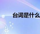 臺(tái)詞是什么意思（胎次是什么意思）
