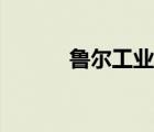 魯爾工業(yè)區(qū)房?jī)r(jià)（魯爾工業(yè)區(qū)）