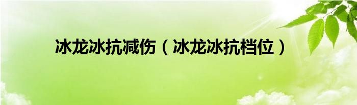 冰龍冰抗減傷（冰龍冰抗檔位）