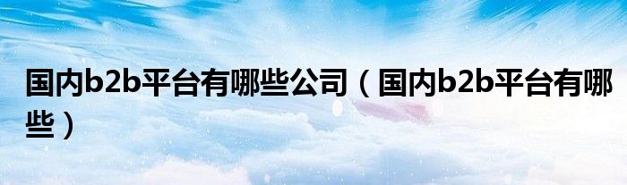 國內(nèi)b2b平臺有哪些公司（國內(nèi)b2b平臺有哪些）
