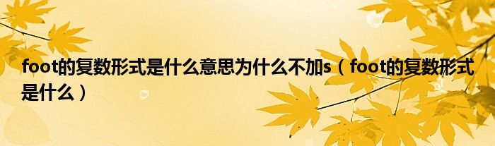 foot的復數(shù)形式是什么意思為什么不加s（foot的復數(shù)形式是什么）