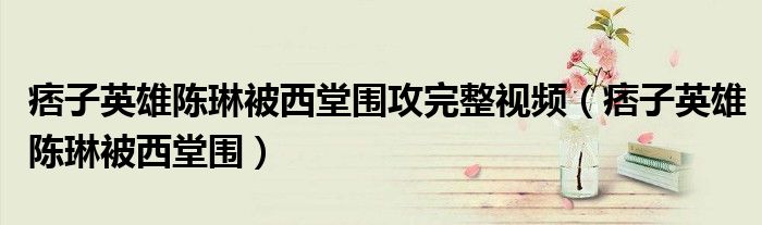 痞子英雄陳琳被西堂圍攻完整視頻（痞子英雄陳琳被西堂圍）