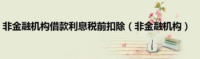 非金融機(jī)構(gòu)借款利息稅前扣除（非金融機(jī)構(gòu)）