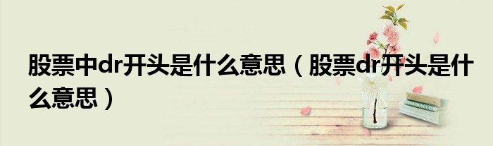 股票中dr開頭是什么意思（股票dr開頭是什么意思）