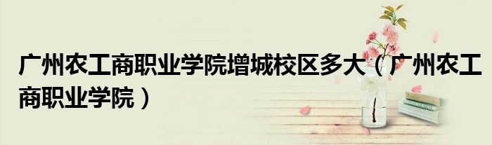 廣州農(nóng)工商職業(yè)學(xué)院增城校區(qū)多大（廣州農(nóng)工商職業(yè)學(xué)院）