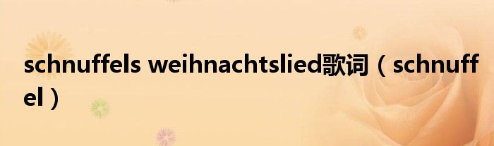 schnuffels weihnachtslied歌詞（schnuffel）