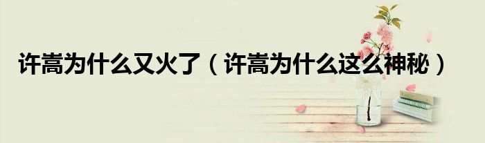 許嵩為什么又火了（許嵩為什么這么神秘）